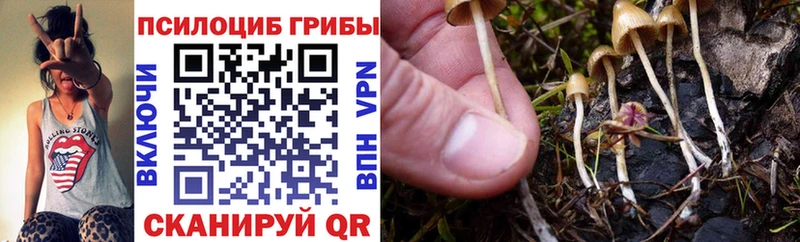 Галлюциногенные грибы мицелий Зея